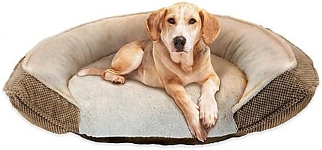 best dog food for shih tzu with sensitive stomach