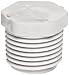 Spears 450 Series PVC Pipe Fitting, Plug, Schedule 40, 2