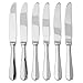 Savor Dinner Knife, S/6