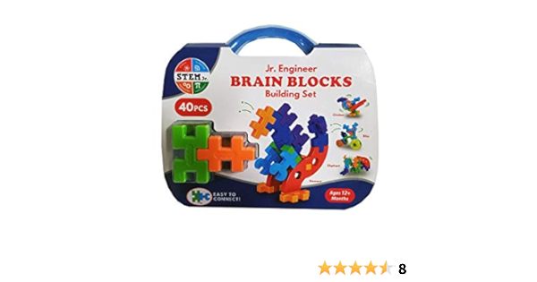 brain blocks building set