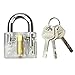 Biglock 4 Pack Locks for Locksmith Practice