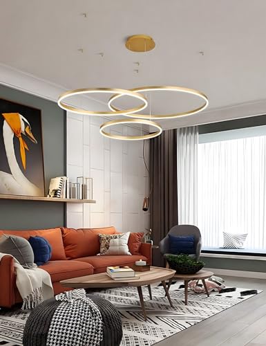 WayLuoung Metal LED Chandelier | 3 Circles 20+40+60cm | 45W Hanging Ceiling Light With Rings, Dimmable Remote Control 3000-6000K, Acrylic Lampshade Living Room Bedroom Foyer Dining Room【Gold】