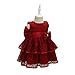 Glamulice Wine Red Baby Girl Lace Party Dress 6-12 Infant Christening Baptism Girl Dresses Pageant Birthday Formal Gown Burgundy Newborn Princess Photo Shoot Holiday Wedding Christmas Outfit Set 6M