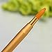 5 Pcs Retractable Lip Brush Travel Lipstick Gloss Makeup Brush Tool