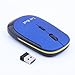 Lei Rui 2.4G Wireless Optical Mouse with DPI Switch (BLUE)