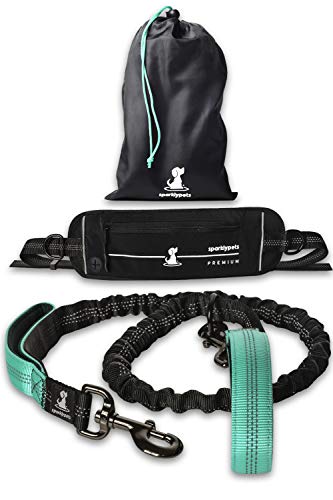 SparklyPets Hands-Free Dog Leash for Medium and Large Dogs - Professional Harness with Reflective Stitches for Training, Walking, Jogging and Running Your Pet (Teal)