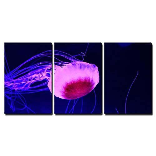 Purple Jellyfish Swimming in deep Blue sea Home Art x3 Panels