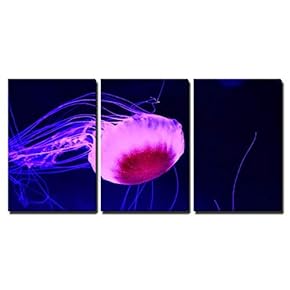 Purple Jellyfish Swimming in deep Blue sea x3 Panels