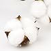 Coceca Cotton Stems - 3 Pack 10 Balls Per Stem - 23 Inch Farmhouse Display Filler-Foral Decoration