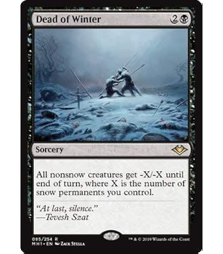 Amazon.com: Magic: The Gathering - Snow-Covered Forest (285