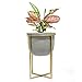 Cement Flower Pot with Stand - 6.3 Inch Tabletop Planter, Grey Herbs Orchids Cacti Succulents Pot Indoor with Gold Metal Stand