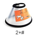 Patgoal Adjustable Recovery Collar Cone for Dogs