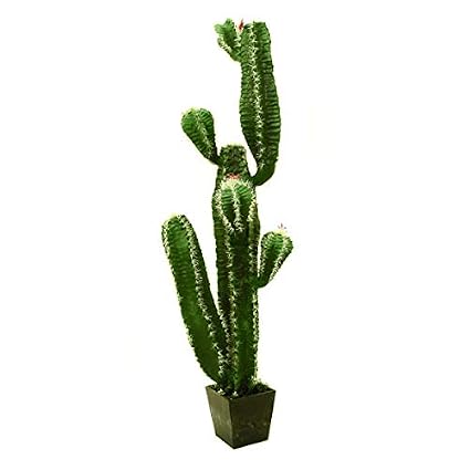 Artplantsde Arbuste Artificiel Cactus Mexicain Avec Des