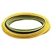 RIO Products Fly Line Intouch-Rio Gold Wf5F, Moss-Gray-Gold