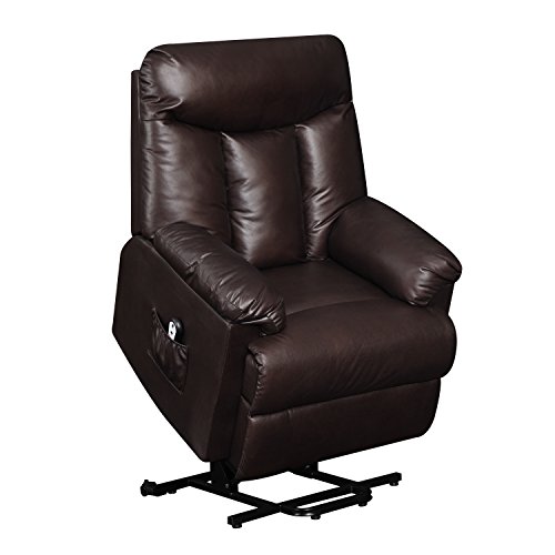 Domesis Renu Leather Wall Hugger Power Lift Chair