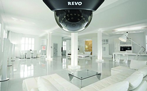 REVO America R165D4GB4GM21-2T 16 Channel 2TB 960H DVR Surveillance System with 8 700TVL 100-Feet Night Vision Cameras and 21.5-Inch Monitor (Black)