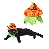 DoubleWood Halloween Pumpkin Cat Hat Cat Cosplay Costume Cap Kitty Cat Collar Costume Halloween Pumpkin Cat Hat Cat Cosplay Costume Cap Ki tty Cat Collar Costume
