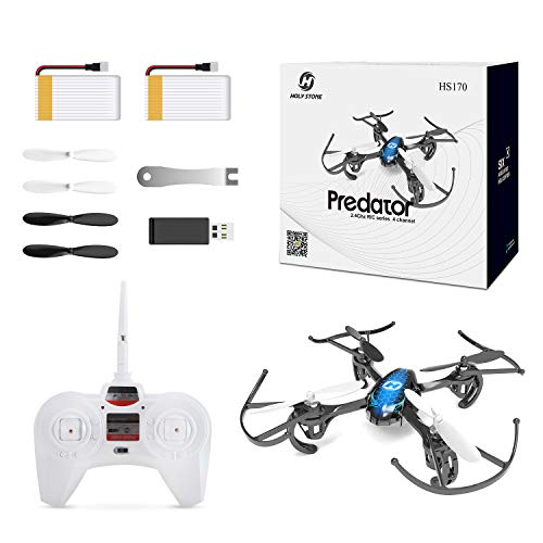 Holy Stone HS170 Mini Drone for Kids & Adults, Nano RC Quadcopter with
