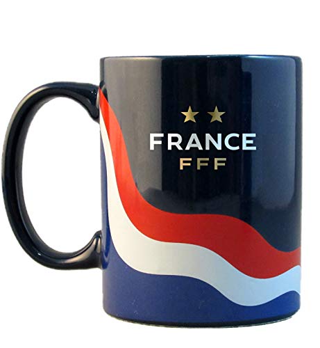 Authentique Maillot Equipe de France Extérieur FFF 2 Etoiles Coupe du