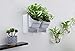 T4U Plastic Self Watering Vertical Living Wall Planter Set White Pack of 2, Stackble Wall Mounted for Indoor Outdoor Herb Vegetable Flower Plantthumb 3