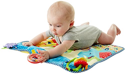 Fisher-Price On-The-Go Activity Throw