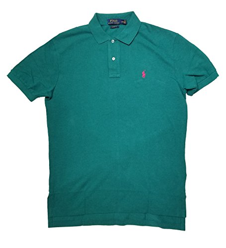 Polo Ralph Lauren Mens Classic-Fit Mesh Short sleeve Polo (Salisbury, Large)
