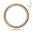 Thunaraz 316L Surgical Steel Nose Hoop Ring Septum Clicker Ring Hinged Clicker Seamless Segment Helix Daith Cartilage Lip Piercing Rose Gold