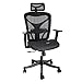 ANCHEER Ergonomic Office Chair, High Back Mesh Office Chair with Adjustable Lumbar Support,Armrest and Headrest ( BIMFA Certified )