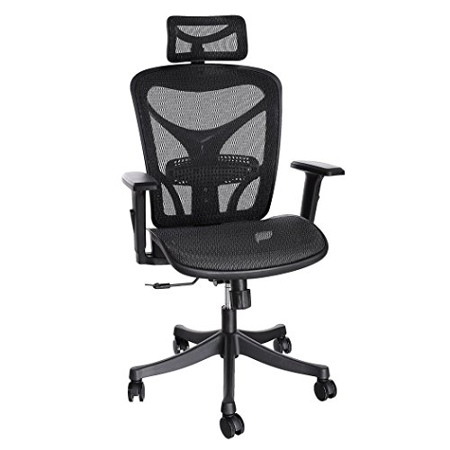 ANCHEER Ergonomic Office Chair, High Back Mesh Office Chair with Adjustable Lumbar Support,Armrest and Headrest ( BIMFA Certified )