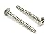 Bolt Dropper #10 x 2 inch Stainless Truss Head Phillips Wood Screw (Set of 100), 18-8 (304) Stainless Steel Screws, ssd Screws