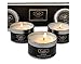 Scented Candles Aromatherapy Vegan Soy Wax Candle Gift Set Vanilla, White Lavender, Eucalyptus Scents with Essential Oils