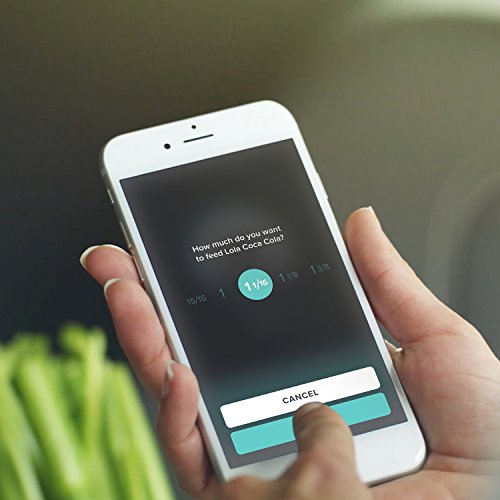 petnet smartfeeder automatic pet feeder