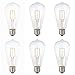 6 Pack DC 12V Vintage Cool White 6000k 6 Watt LED Edison Filament ST64 Light Bulb E26 E27 Medium Base Lamp Low Voltage Marine Boat Solar Theatrical Production Stage Prop Retro Lighting…