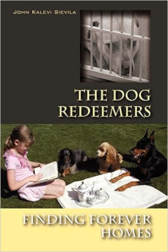 cat weight loss diet