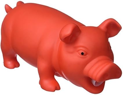 amazon ventas flash
