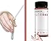 Ketone Test Strips – Great for Diabetics, Weight loss, Low Carb, Fat Burning (100 + 50) Testing Levels of Ketones - Get on Track with Atkins Diet, Ketosis, Ketogenic, Diabetic & Paleo Diet