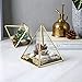 Glass Geometric Terrarium Container 4.5X5.2 inch and 4.3X3.7 inch Glass Terrarium for Succulent & Air Plant (Gold, 2pcs)