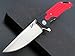 Eafengrow EF53 Folding Knife with Pocket Clip,D2 Blade and G10 Handle Ball Bearing and Liner Lock Knife for Outdoor Hunting & Camping (EF53-red)