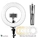 LimoStudio 14-inch Diameter LED Ring Light, Continuous Lighting Kit, 5500K, Good for Beauty Facial Shoot, Light Stand Tripod, Cell Phone Spring Clip Holder, Photo Studio, AGG2028V6