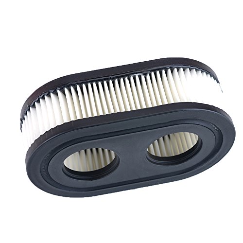 Hipa 798452 Air Filter Cartridge for Briggs & Stratton 550E-550EX Series Engine 593260 4247 5432 5432K Lawnboy Lawnmower