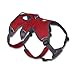Ruffwear, Web Master, Multi-Use Support Dog Harness, Hiking and Trail Running, Service and Working, Everyday Wear, Red Currant, Small