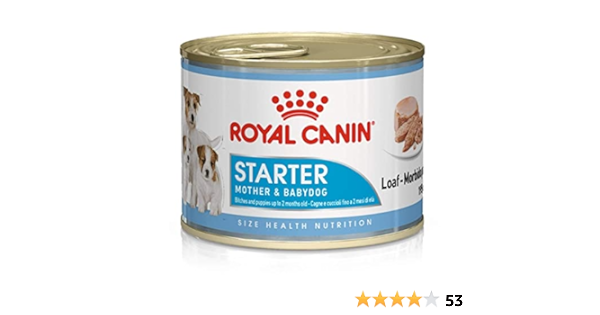 royal canin starter amazon