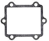 Moto Tassinari Replacement Gasket for Delta 3 Reed