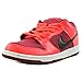 Nike Mens Dunk Low Pro SB Leather Skateboarding