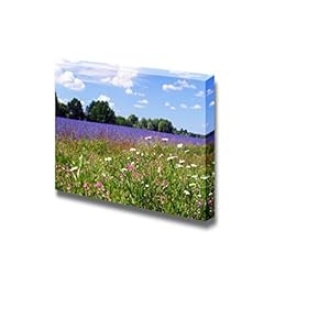 Beautiful Summer Landscape of Flowering Meadows Bright Blue Sky White Clouds and Groves on The Horizon on a Sunny Day - Canvas Art Wall Art - 12" x 18"