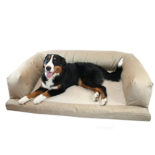 Best Couches for Dogs Top Dog Couches and Review