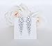 Waterfall Wedding Jewelry Clear Cubic Zirconia Crystal Rhodium Plated Pierced Dangle Unique Design Bridesmaid Bridal Earrings (Clear)