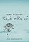 Livro Poetas místicos: Kabir e Rûmî