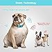 Dog Bark Collar- Automatic Anti Barking Training Collar with Beep and Vibration, No Painful Shock for Small Medium Large Dogsthumb 4