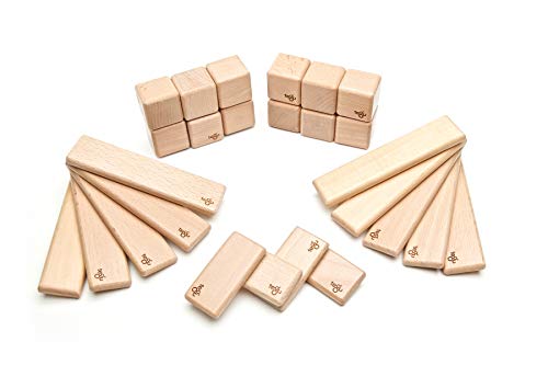 26 Piece Tegu Discovery Magnetic Wooden Block Set, Natural